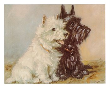 Scotch Terriers Print by Mac